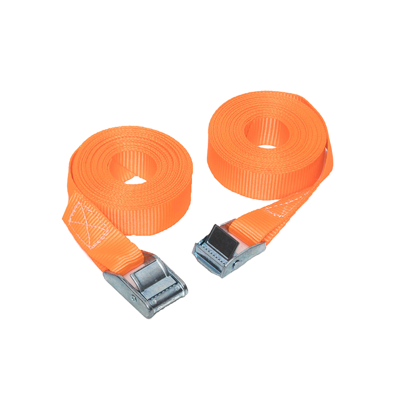 25mm 250kg 캠 버클 타이 다운 스트랩